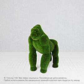 Горилла