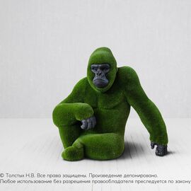 Самец Гориллы