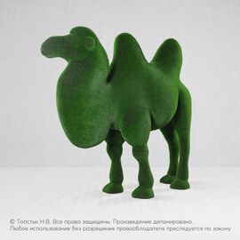 Верблюд двугорбый