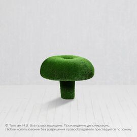 Сыроежка M