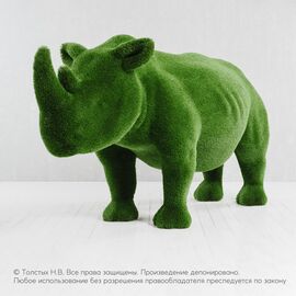 Носорог