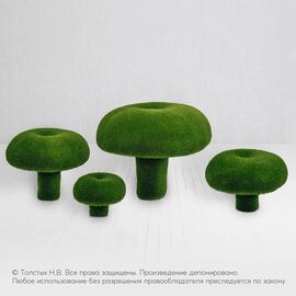Композиция сыроежек