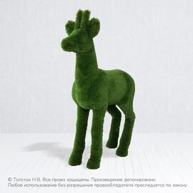 Косуля