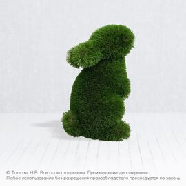 Крольчонок стоячий