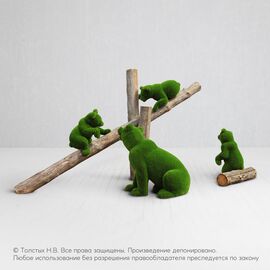 Мишки в лесу