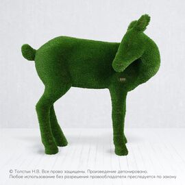 Олениха