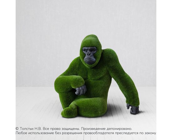 Самец Гориллы