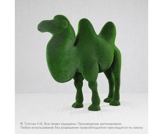 Верблюд двугорбый