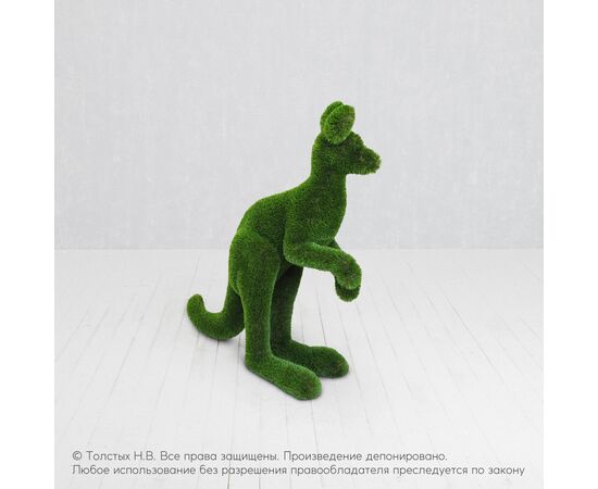 Кенгурёнок