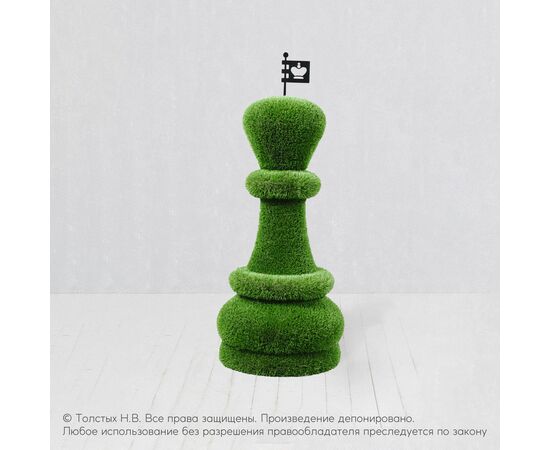 Король (шахматы)