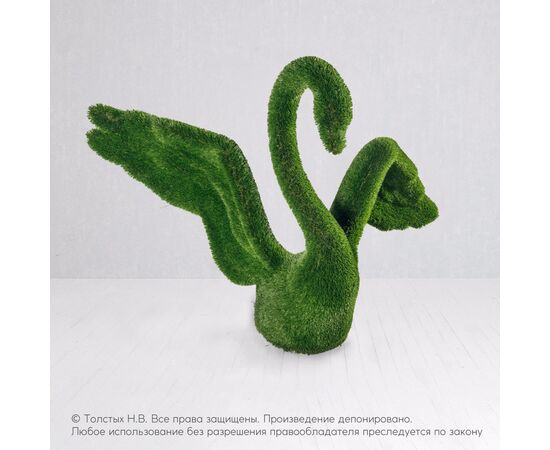 Лебедь большой