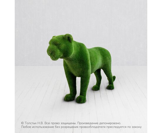 Тигр