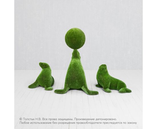 Морские львы